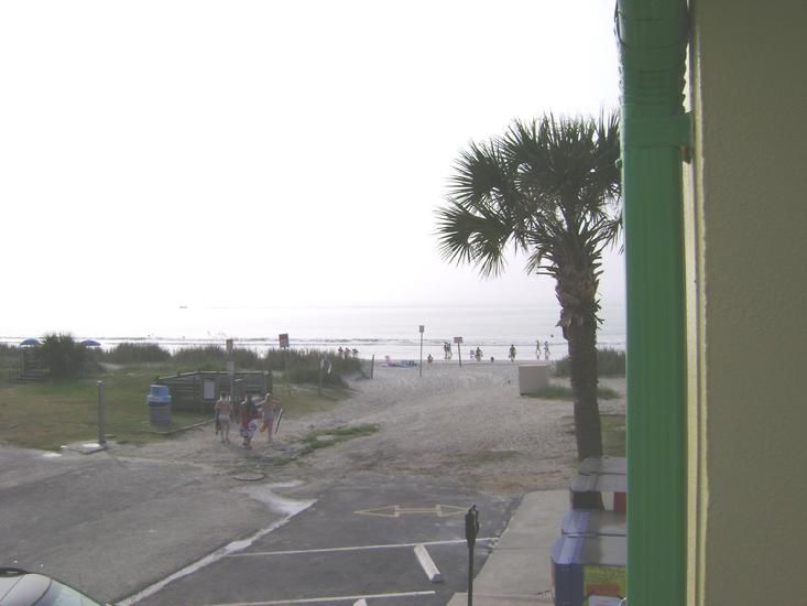 Sea Hawk Oceanfront Motel Myrtle Beach Natur billede