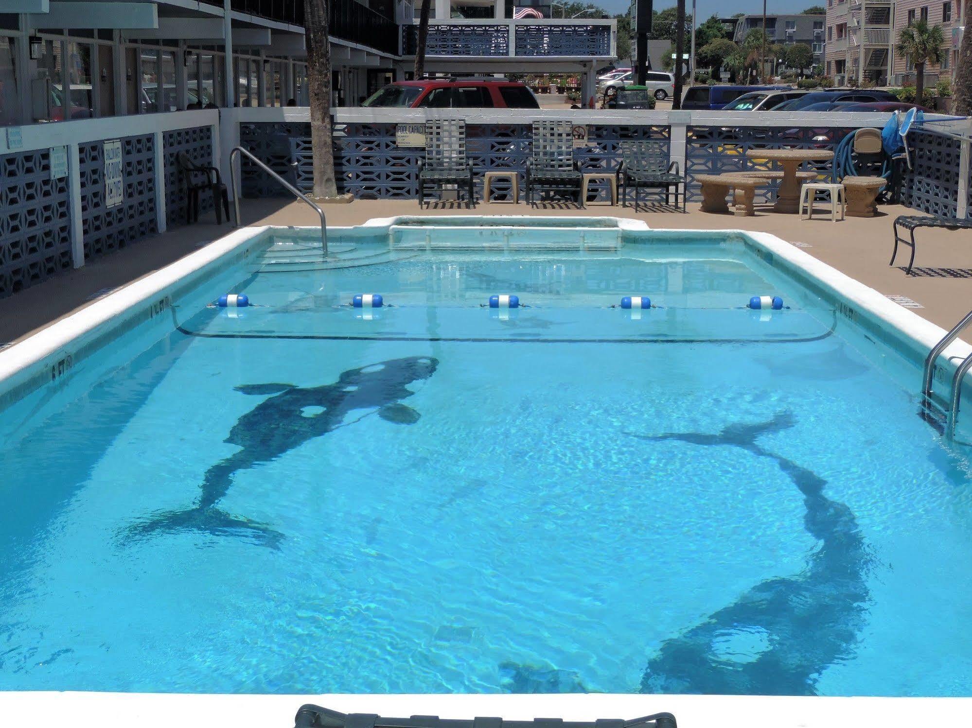 Sea Hawk Oceanfront Motel Myrtle Beach Eksteriør billede